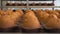 Tray of freshly baked chocolate muffins from biscuit dough, production of muffins. Food Industry Background, cooking