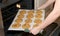 Tray of oatmeal cranberry cookies coming out of the oven