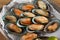 Tray of oysters prepared for guests in expensive restaurant