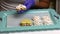 On a tray spread marshmallows. Woman making a marshmallow sandwich. Puts marshmallows between two cookies