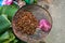 Tray of stink bugs, Laos