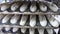 Trays full of bread doughs ready to be baked in the industrial oven of the bakery. Concept bread, bakery, baker, bakery, industry