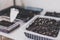 Trays with soil and new seedlings indoor in greenhouse, growing plants and herbs at home