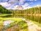 Tre Cime above Lago Di Antorno, wooden bridge, fresh green land