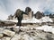 Tre Cime di Lavaredo tour around sharp tree four peaks massif. Dolomite Alps - Italy. Europe