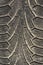 Tread of used tires , Tyre texture closeup background.