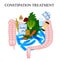 Treatment of constipation. Infographics. Vector illustration on isolated background.