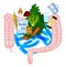 Treatment of constipation. What you need to do for good digestion. Infographics. Vector illustration on isolated