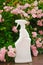 Treatment of roses from pests, aphids and fungi.white bottle in pink roses in a summer garden. Remedy for roses from