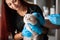 Treatment of sick cat in clinic. Veterinarian with gloves takes care of kitten