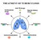 Treatment of tuberculosis. World Tuberculosis Day. March 24. Medicines, tablets, capsules. The structure of the lungs.