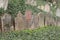 Trebic, Czech Republic, April 23, 2016: Old Jewish Cemetery, the old Jewish part of the city Trebic is listed among UNESCO