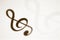 Treble Clef musical symbol