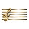 Treble clef stave 3D gold