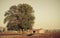 Tree and adobe house on the countryside next to the road and dry weather in mexico