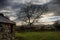 A tree against a dark grey moody sky in snowdonia