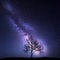 Tree against Milky Way. Night landscape