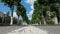 Tree alley. Man walking on a footpath in the city in summer in daytime. City life. Low angle shooting from below