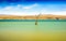 Tree amidst rural lake landscape with reeds, wildlife and with blue skies and clouds