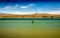 Tree amidst rural lake landscape with reeds, wildlife and with blue skies and clouds