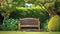 tree arch and wooden garden bench on a grass lawn, beech hedge in backyard