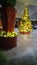 Tree asino walkway lights Christmas