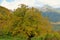 Tree in autumn colored forest - in front of Vahanavank, a 10th-11th century Armenian monastic complex