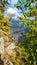 Tree autumn wilderness ridge adventure rock high city from above