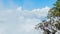 Tree on a background of clouds. View from the top of the mountain. Thailand, Chiang Mai