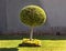 Tree Ball Shape Art