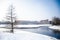 Tree in the banks of a frozen canal in winter