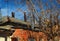 Tree with bare branches on the background of an old historical house with red walls and a lot of chimneys on the roof.