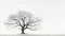 tree bare branches white background nature solitude stark contrast