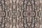 Tree bark texture pattern. wood rind for background