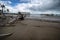 Of a tree on the beach under cloudy sky at Cairns Cape Tribulation Australia