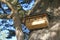 Tree bird box home