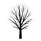 Tree black silhouette. Free tree template