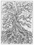Tree. Black and white mystic concept for Lenormand oracle tarot card