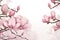 Tree blooming gardening blossom magnolia seasonal flowers nature spring background branch pink