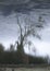 Tree blurred in the water of a river