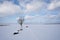 Tree and a boat stand on the shore of a snowy lake