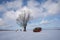 tree and a boat stand on the shore of a snowy lake