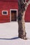 Tree body waits patiently for door of red barn to open.