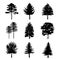 Tree Branch Arid Black Silhouettes Nature Forest Vector Illustration