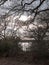 tree branch autumn winter silhouette farm field barren