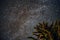 Tree branch and blurred billion star on sky on background