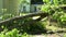 Tree branch fallen on fence and entrance to house after summer storm.