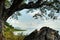 Tree branch and rock at lake : Khon Kaen , Thailand