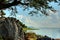 Tree branch and rock at lake : Thailand