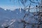 Tree branch with scenic view on hiking village Zell Pfarre (Sele), Austrian Alps, Carinthia (Kaernten), Austria, Europe